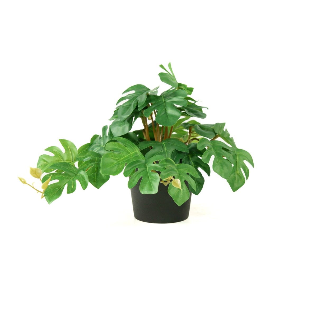 Planta Artificial Bambú – Valyria Home