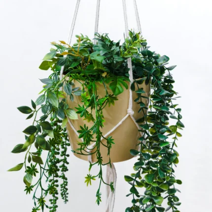 Porta Maceta Colgante - Accesorio para Plantas