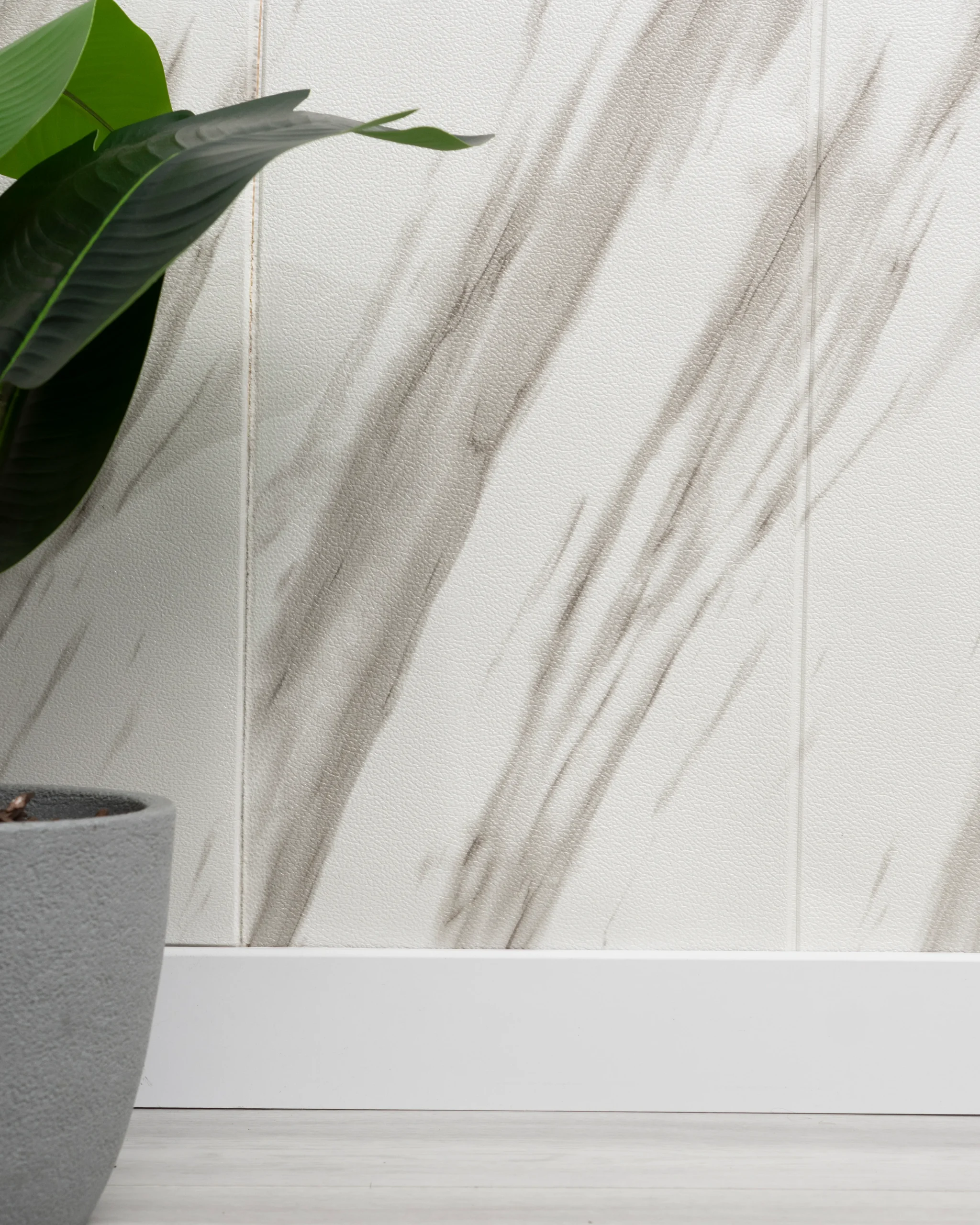 Copia de DSC02151_11zon