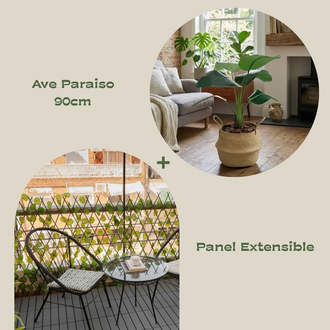 olivo + Panel (1)