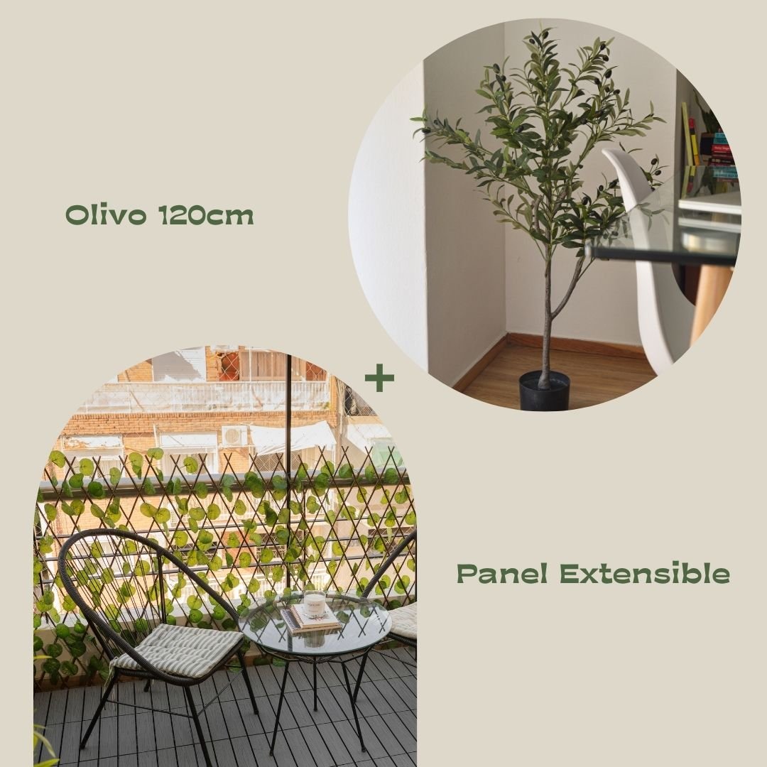 olivo + Panel